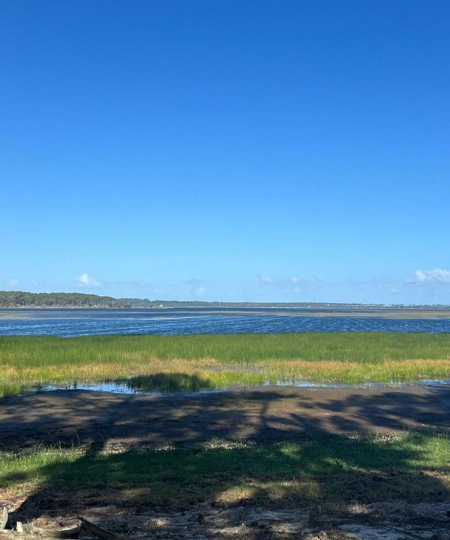 Foto de Campo en venta de 42 ha en La Rinconada - TM4936729, imagen 2