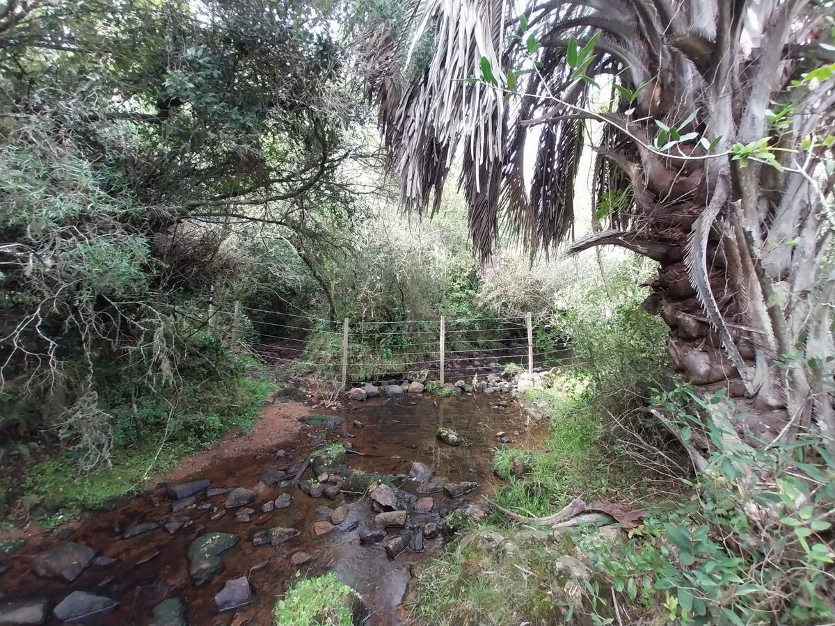 Foto de Campo en Aiguá 121 Hectareas, imagen 1