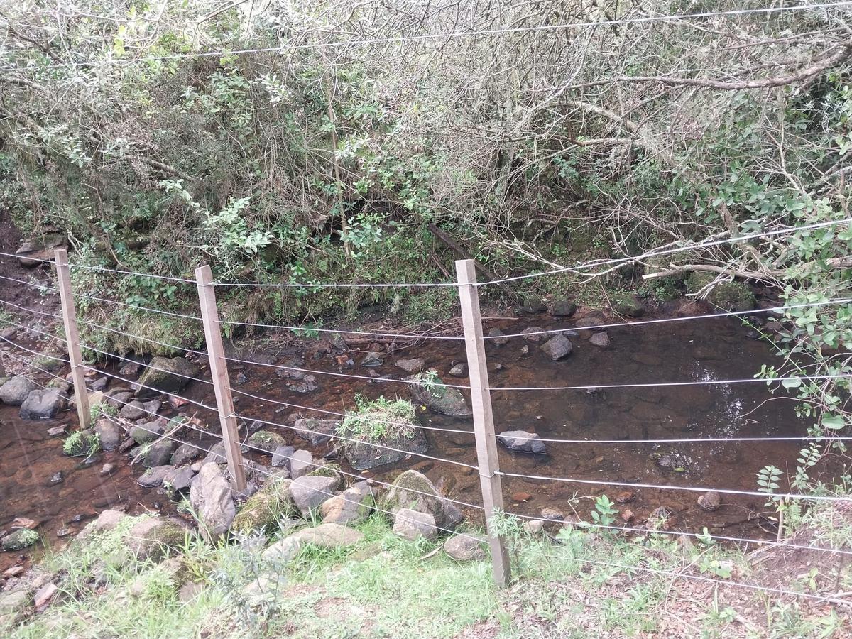Foto de Campo en Aiguá 121 Hectareas, imagen 5