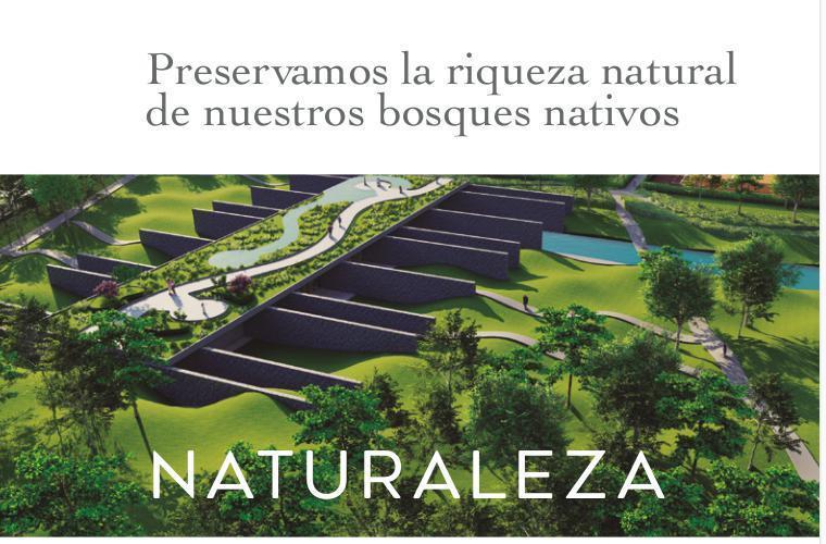 Foto de NATIVO JOSE IGNACIO TERRENOS EN VENTA - TM5786092, imagen 1