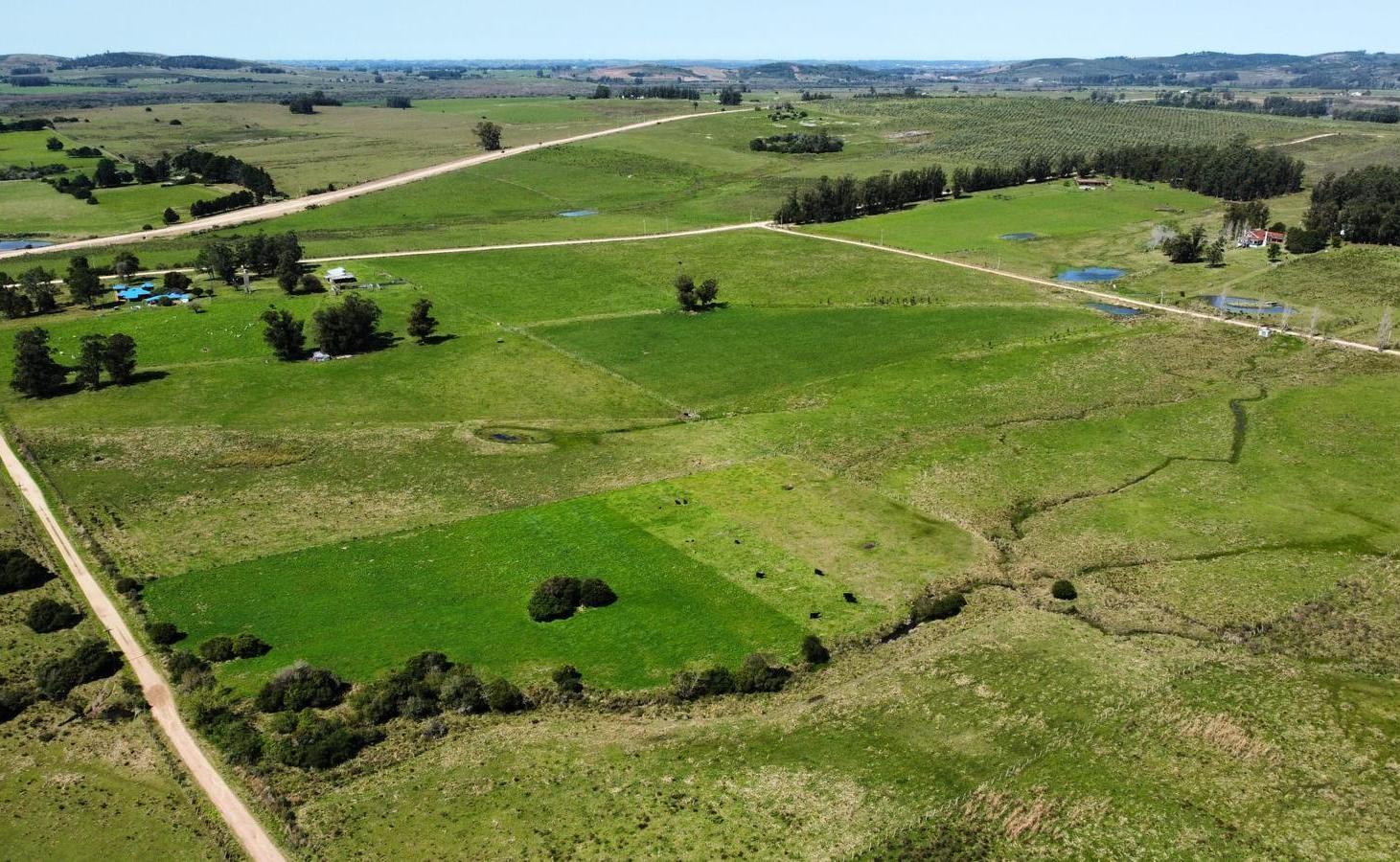 Foto de Campo en Pueblo Eden 20 Hectareas Completas - TM6554709, imagen 2