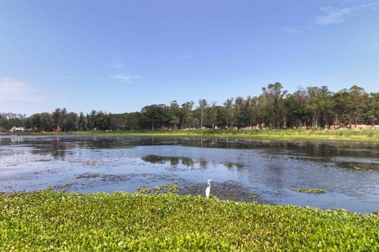 Foto de TERRENO RESERVA MONTOYA LOTE 264 - TM6992763, imagen 3