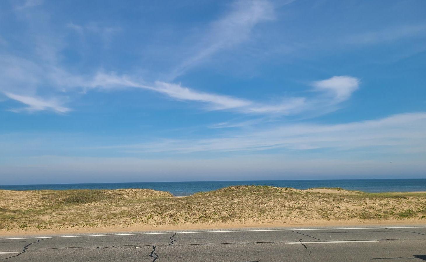 Foto de Terreno Primera Fila al Mar en Santa Mónica, José Ignacio - TM7034655, imagen 2
