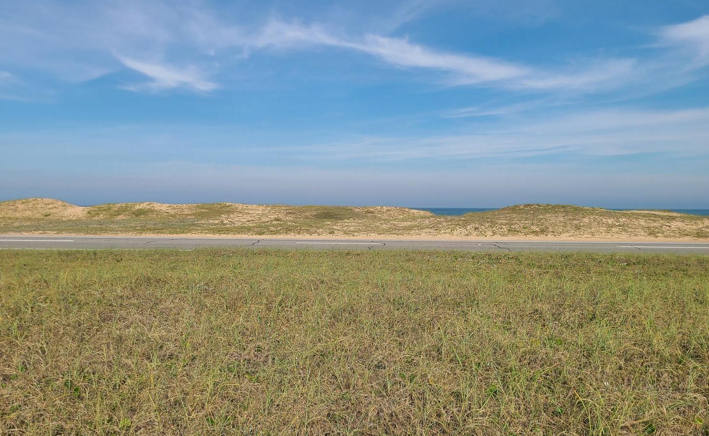 Foto de Terreno Primera Fila al Mar en Santa Mónica, José Ignacio - TM7034655, imagen 5