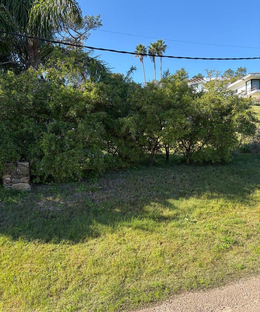 Foto de Terreno en Venta en Punta Ballena TM7068290, imagen 2
