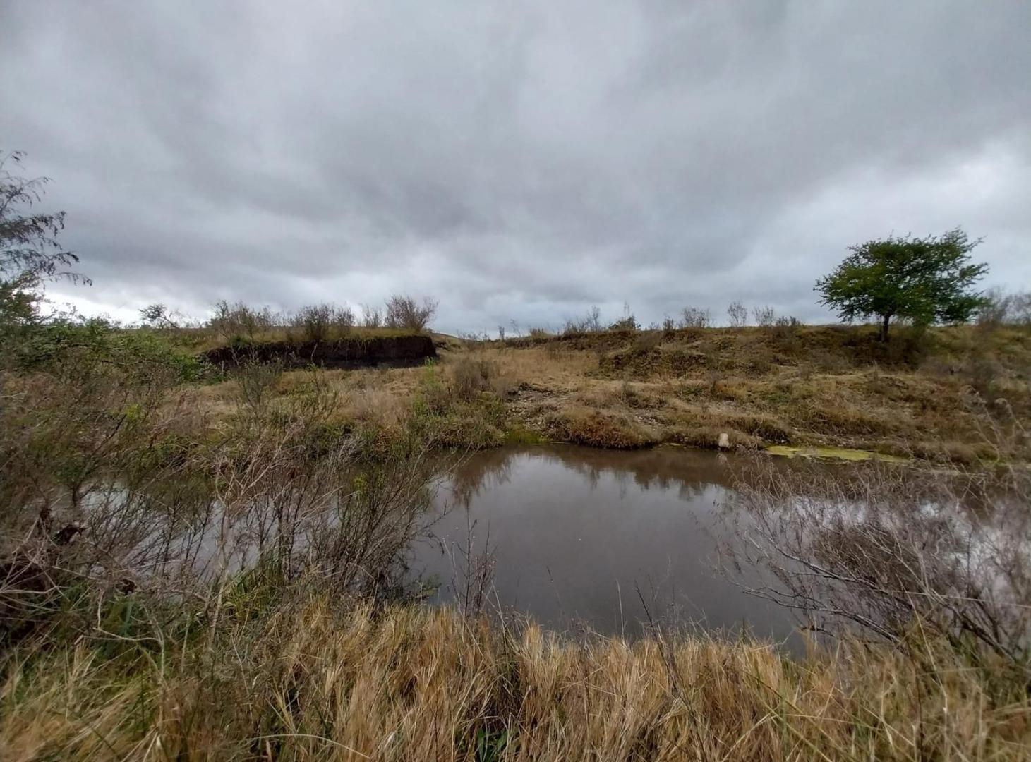 Foto de Muy Lindo Campo de 30 Hectareas en Valle del Solis, imagen 4