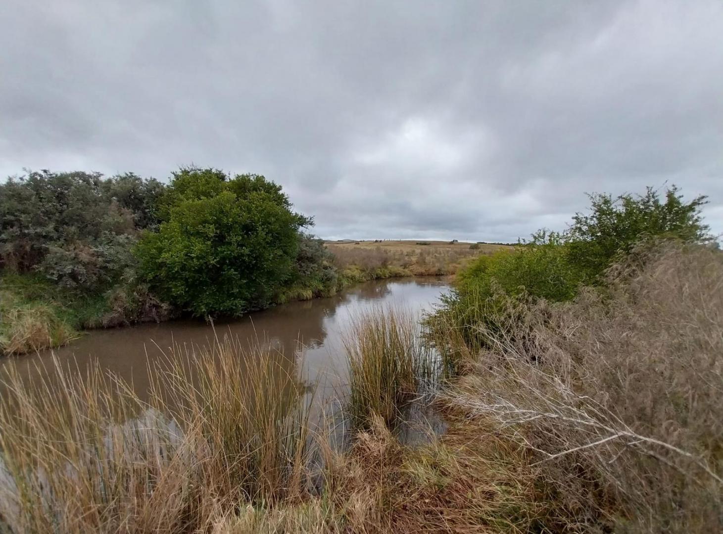 Foto de Muy Lindo Campo de 30 Hectareas en Valle del Solis, imagen 2