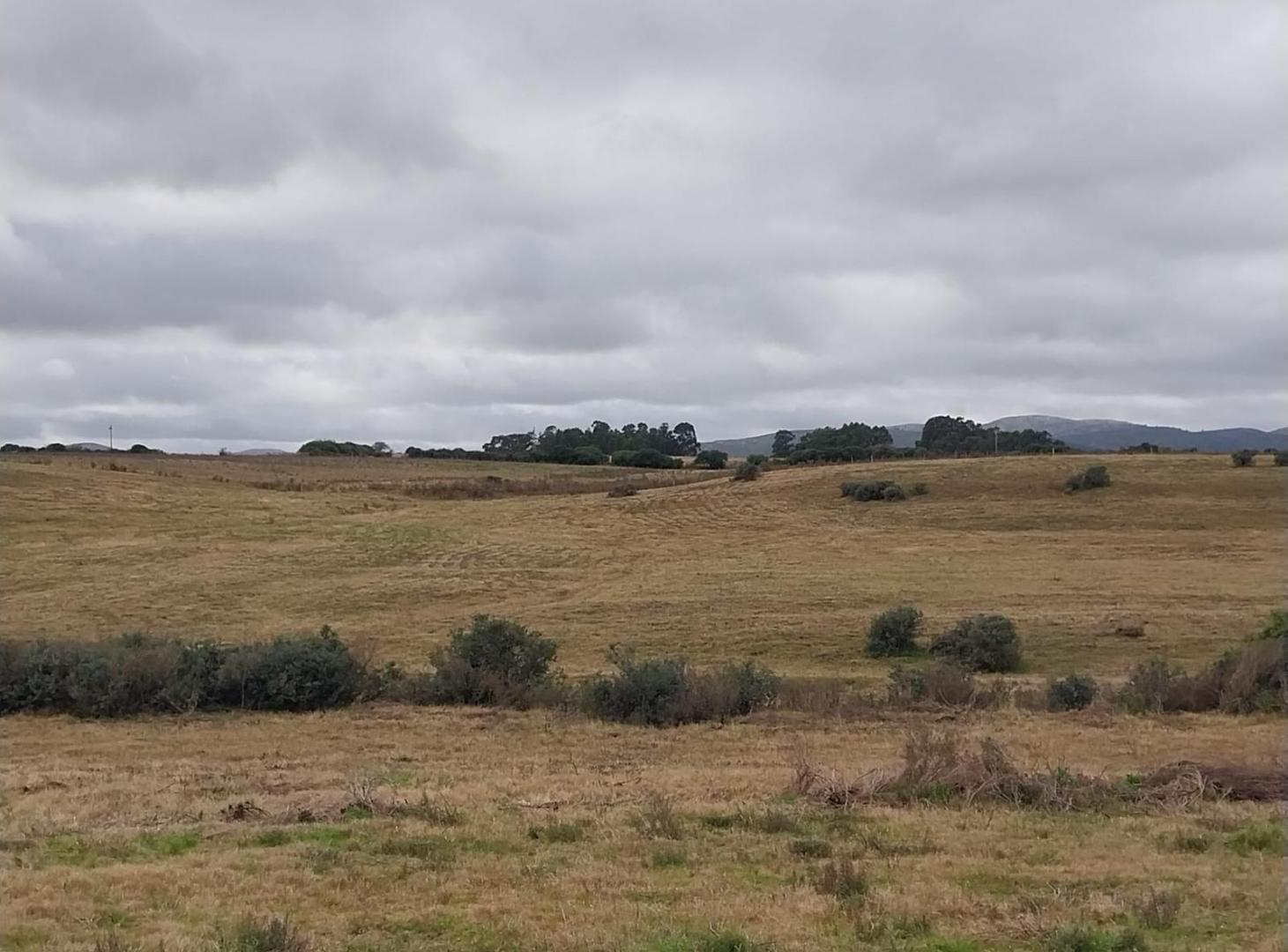 Foto de Muy Lindo Campo de 30 Hectareas en Valle del Solis, imagen 1