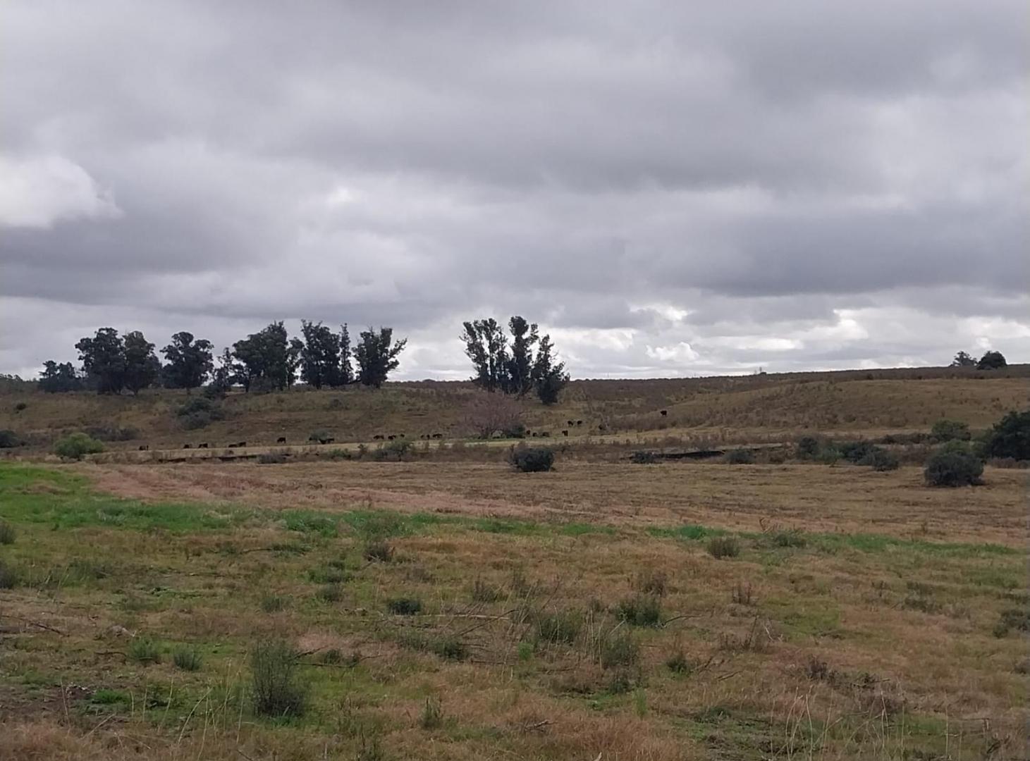 Foto de Muy Lindo Campo de 30 Hectareas en Valle del Solis, imagen 3