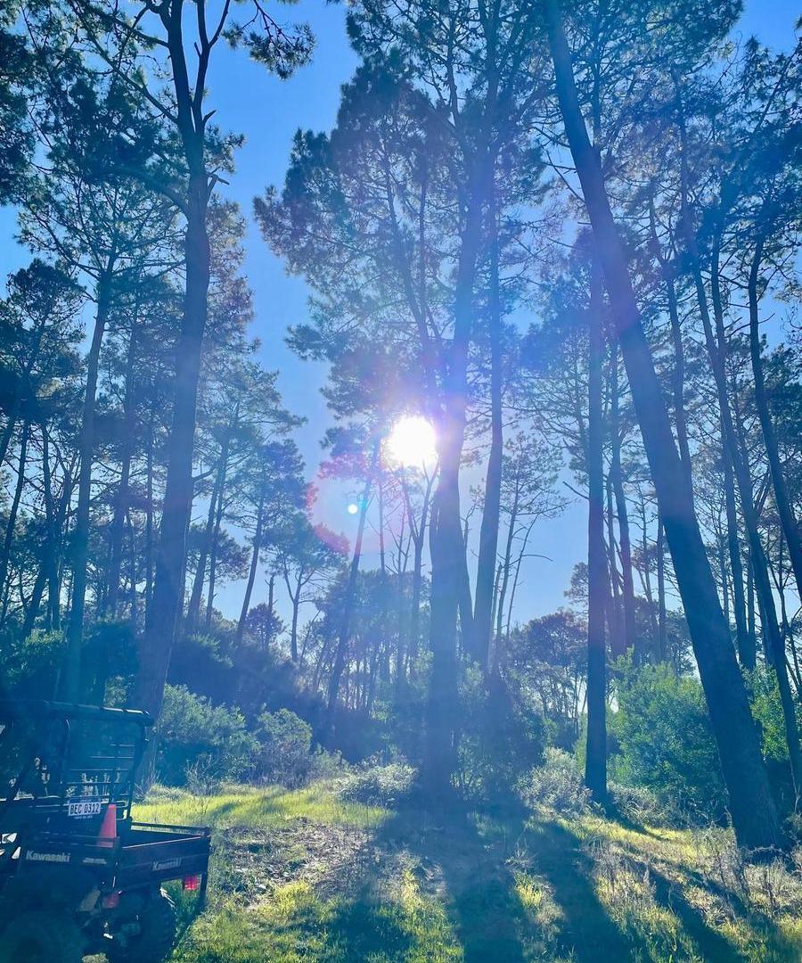 Foto de Terreno en Montoya Reserva Montoya - TM7099256, imagen 3