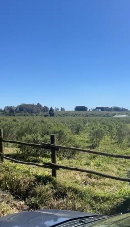 Foto de Chacra en venta 5,8 ha - Camino Medellin, imagen 1