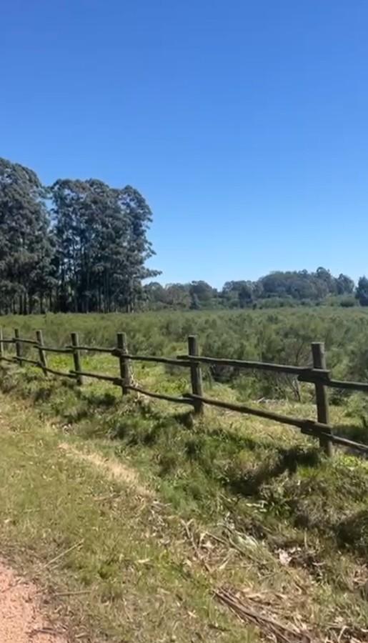 Foto de Chacra en venta 5,8 ha - Camino Medellin, imagen 2