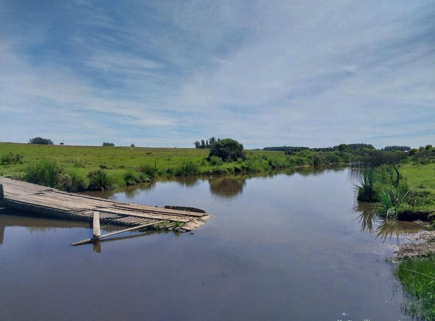 Foto de Campo 70 Hectareas a minutos del mar y Jose Ignacio - TM7438773, imagen 3