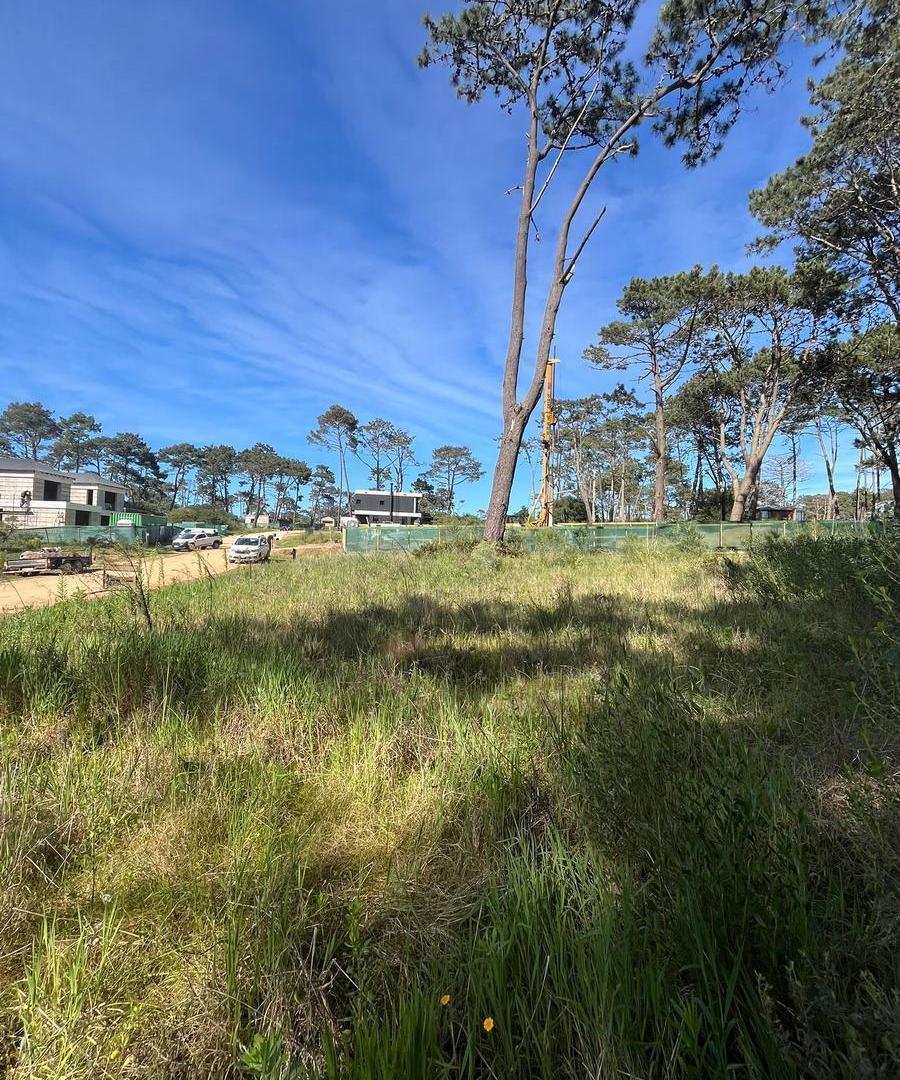 Foto de Terreno en venta en Reserva Montoya - lote 281, imagen 3