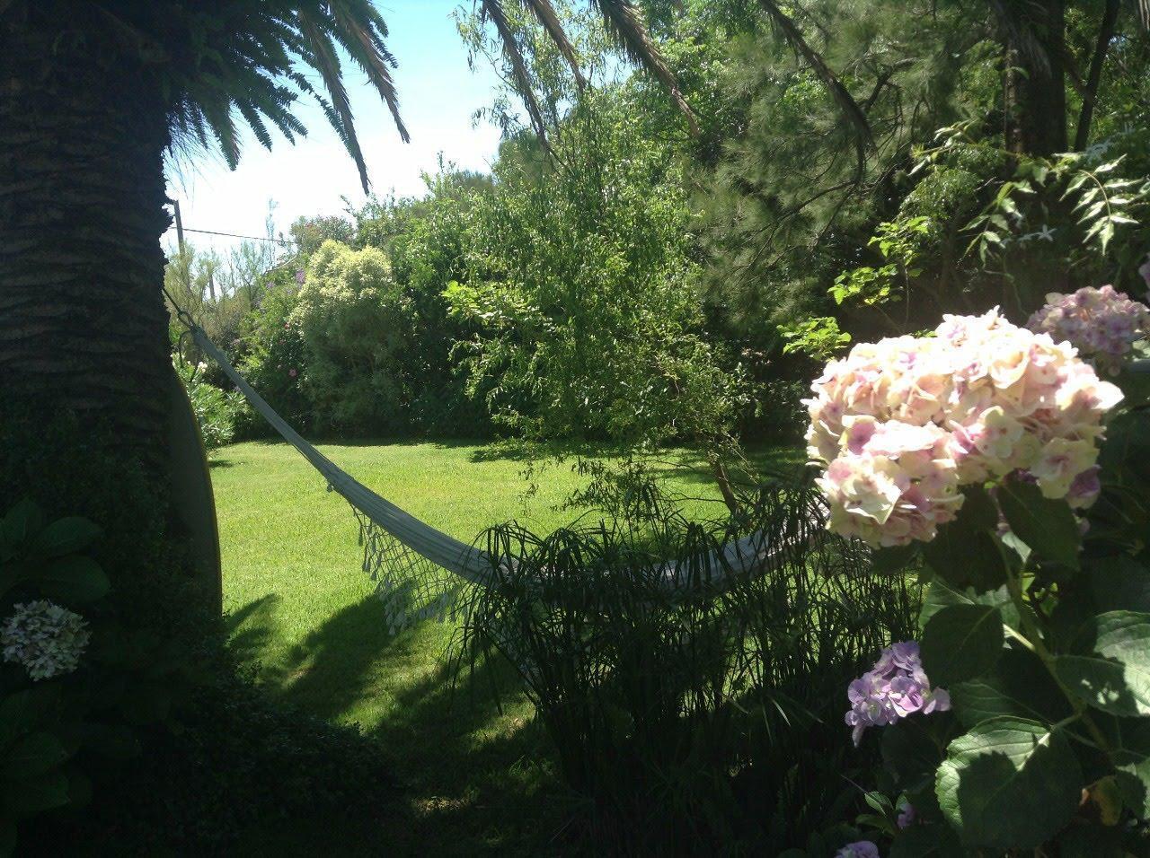 Foto de Alquiler: Casa en el Faro de Punta del Este - TM7750063, imagen 4