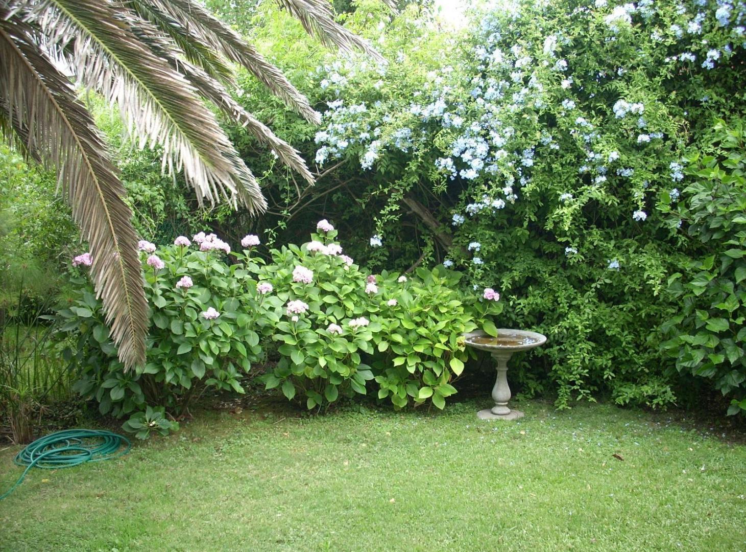 Foto de Alquiler: Casa en el Faro de Punta del Este - TM7750063, imagen 1