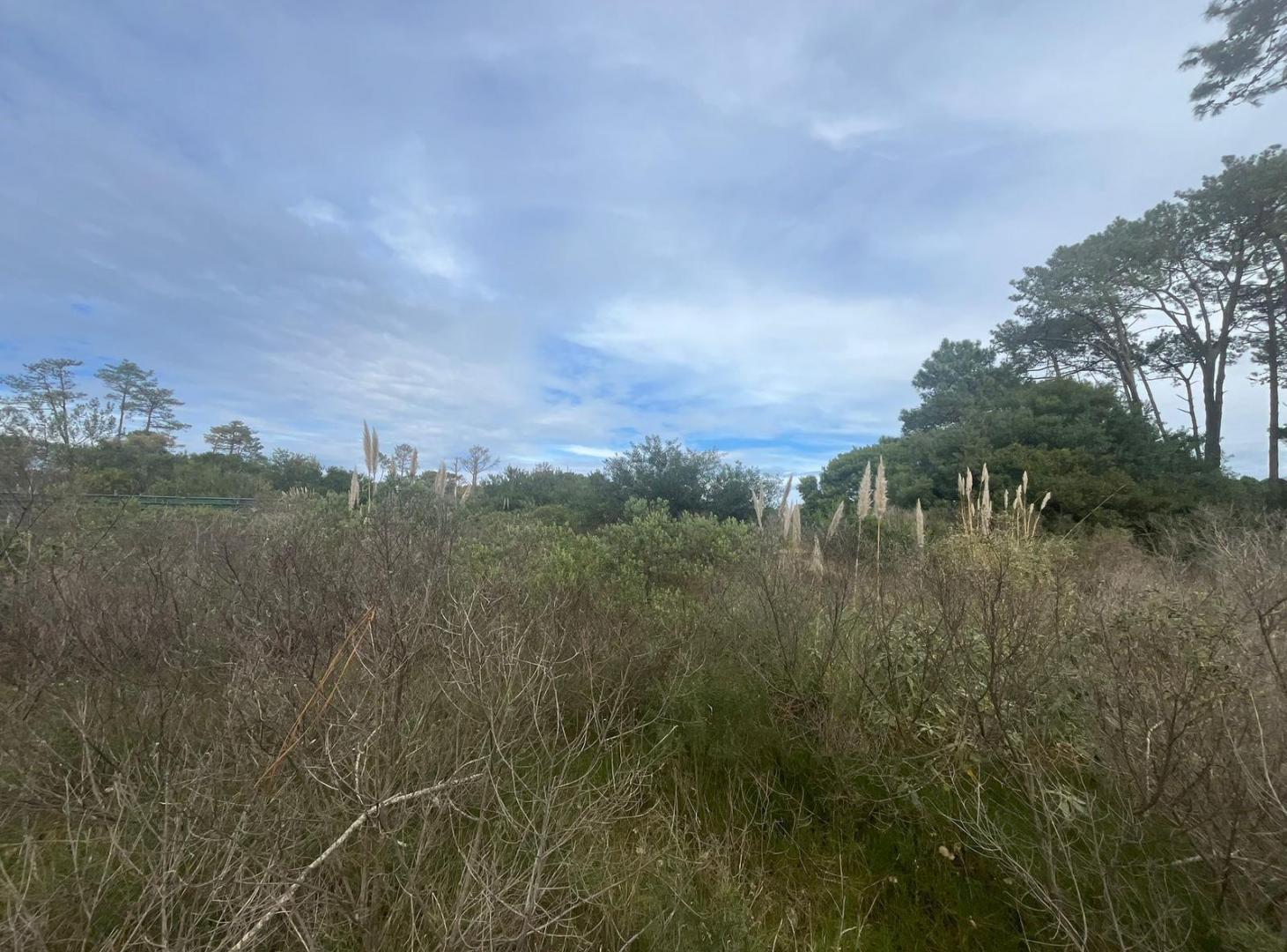 Foto de Terreno en Montoya Reserva Montoya - Lote 230, imagen 4