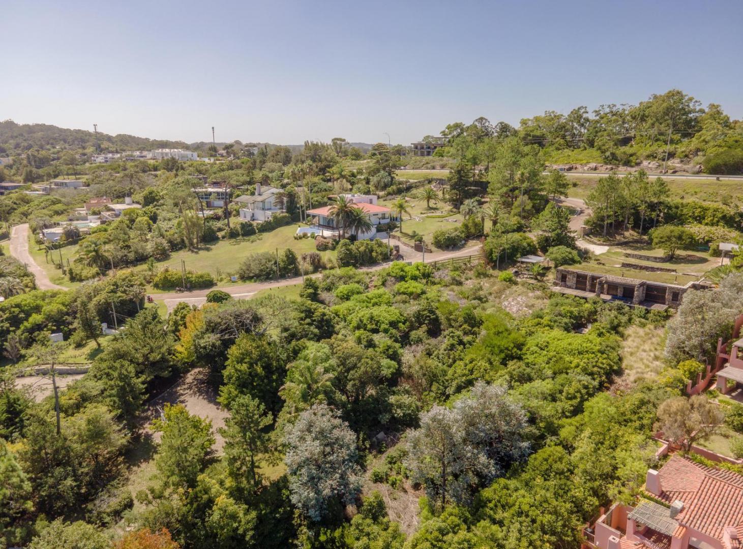 Foto de Terreno en Punta Ballena Venta TM8165229, imagen 5