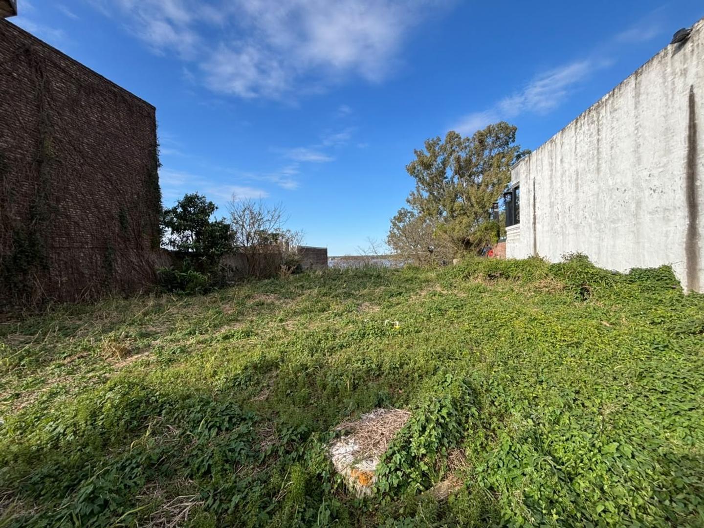 Foto de Lotes en venta. Ideal para desarrollo constructivo., imagen 2
