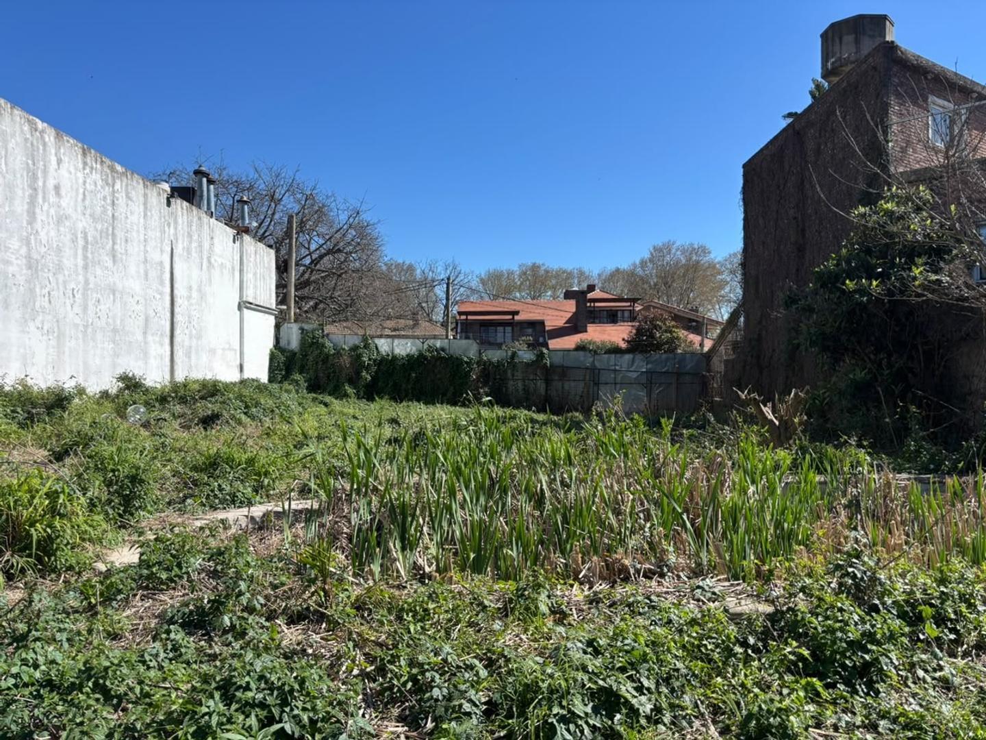 Foto de Lote en venta. Ideal para desarrollo constructivo., imagen 5