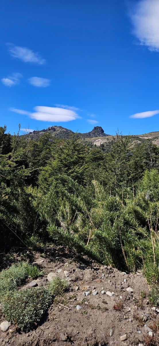 Foto de 4735m² de TERRENO Único en Barrio Privado – El lugar ideal para tu, imagen 4