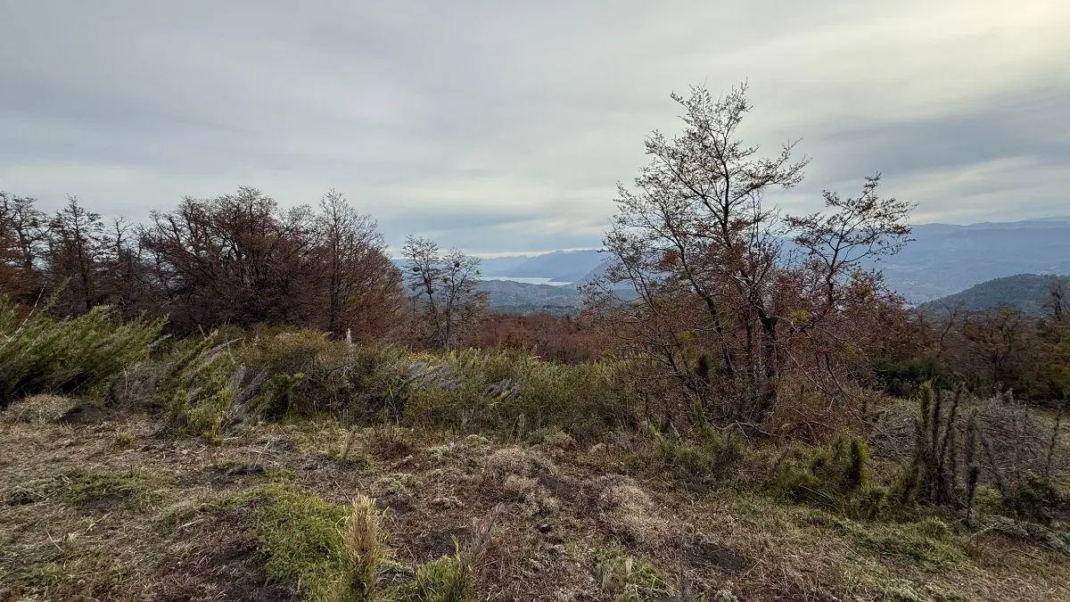 Lote con vistas al Lácar y Lanín | Financiación en dólares | Vallescondido 1