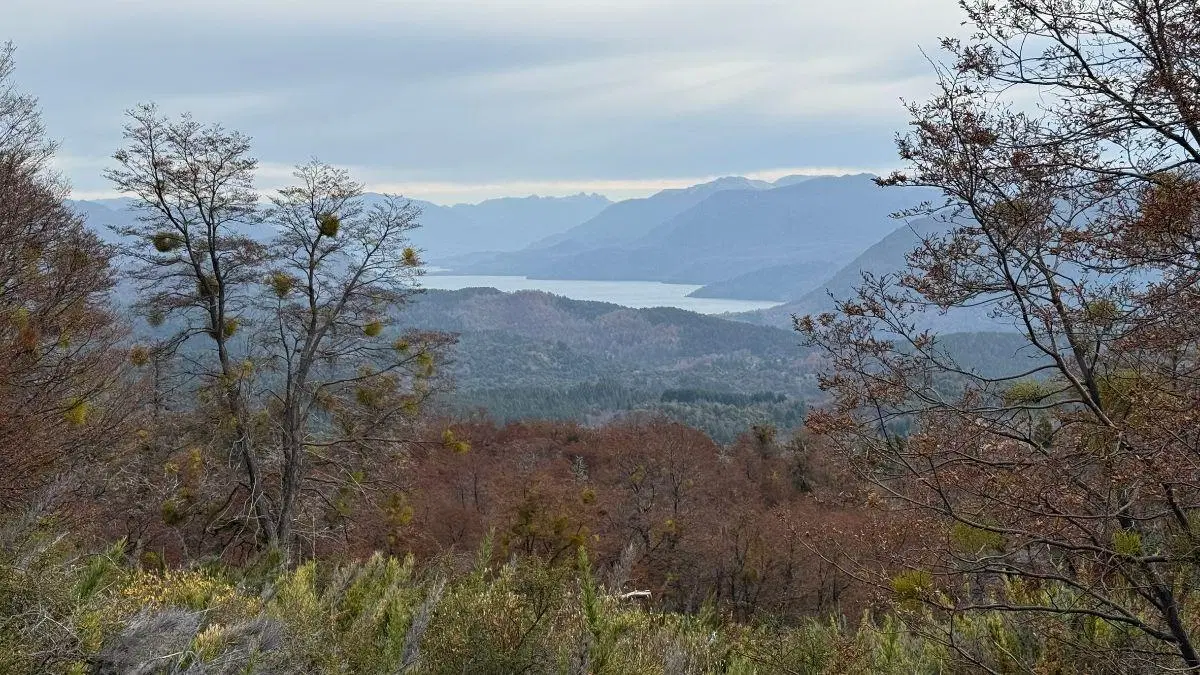 Lote con vistas al Lácar y Lanín | Financiación en dólares | Vallescondido 2