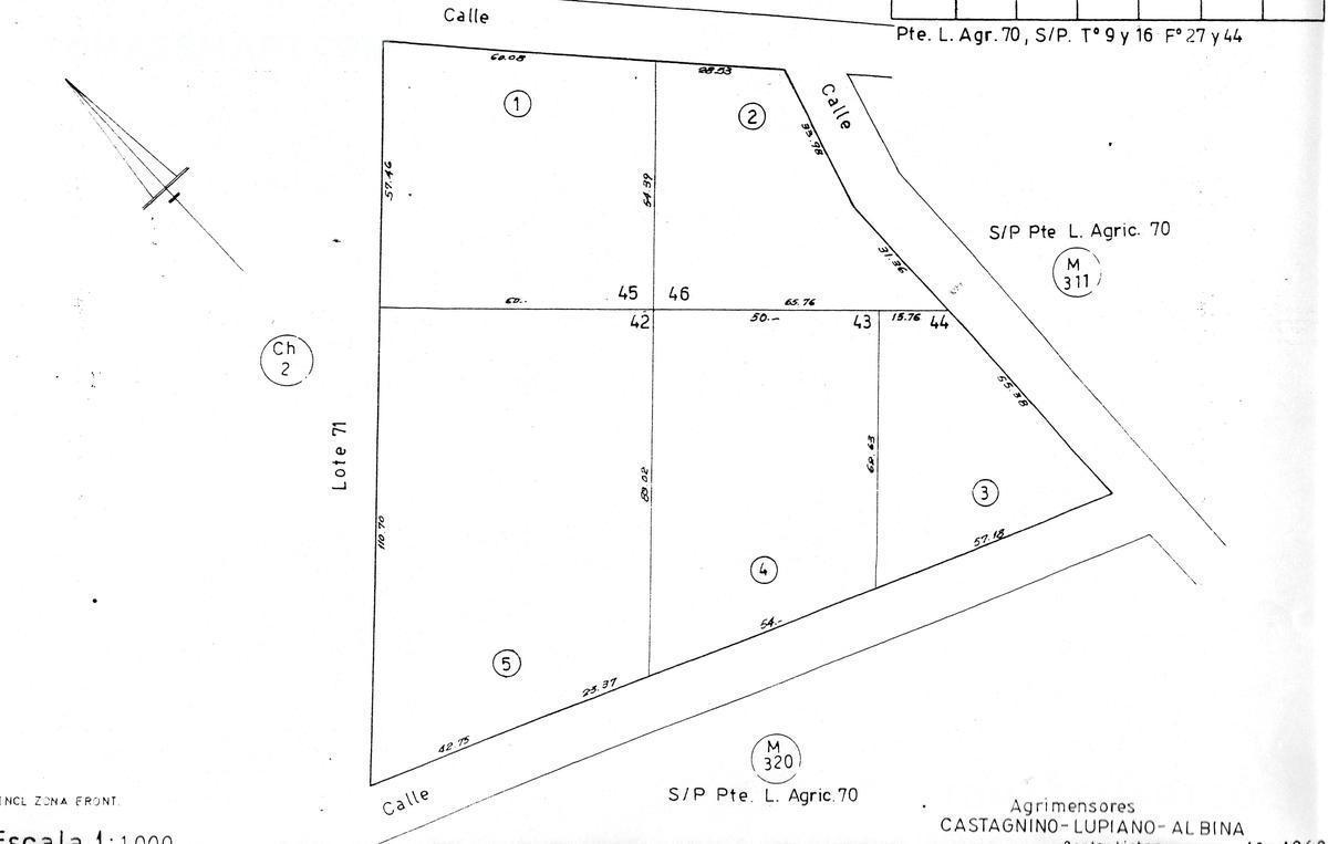 Plano 1