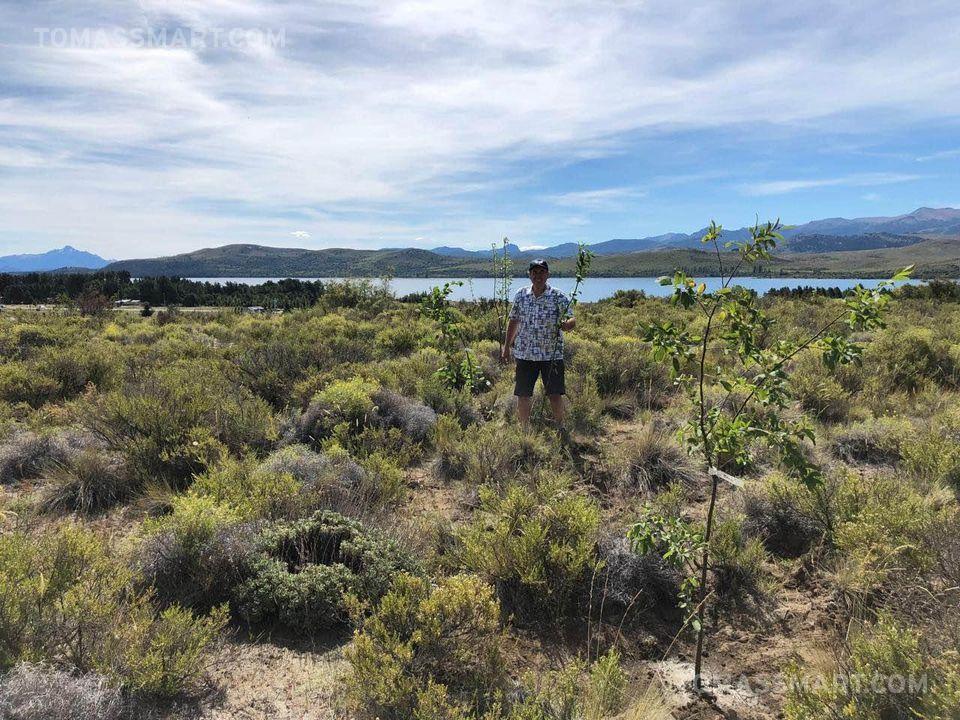 Terreno en Barrancas de Dina Huapi Lote 136