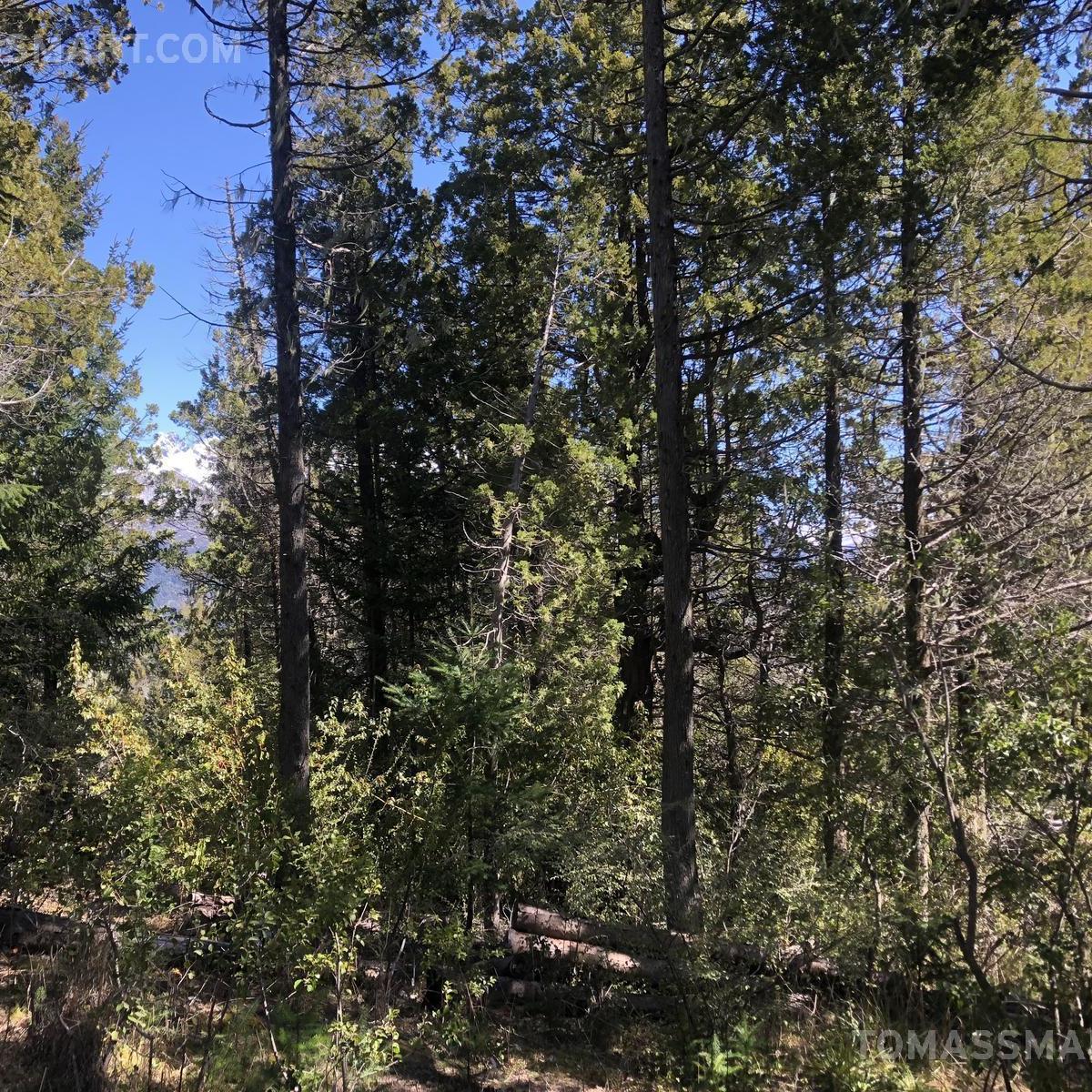 Terreno con Vista - Bariloche 2