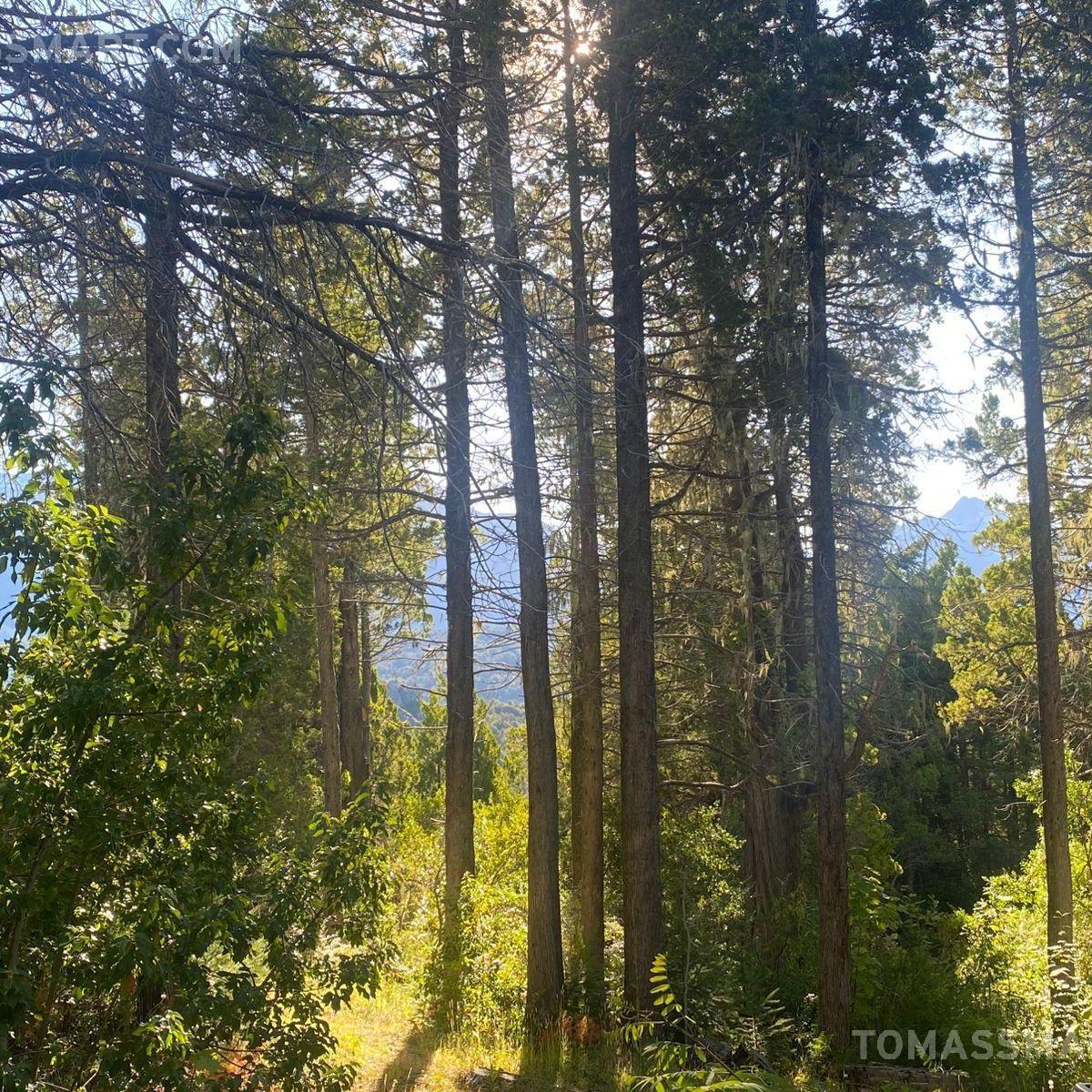 Terreno con Vista - Bariloche 5
