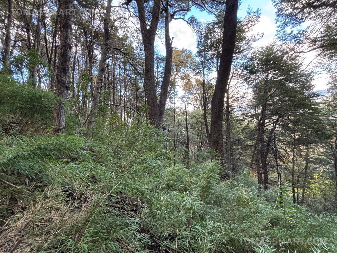 Foto de Terreno en Península San Pedro, imagen 1