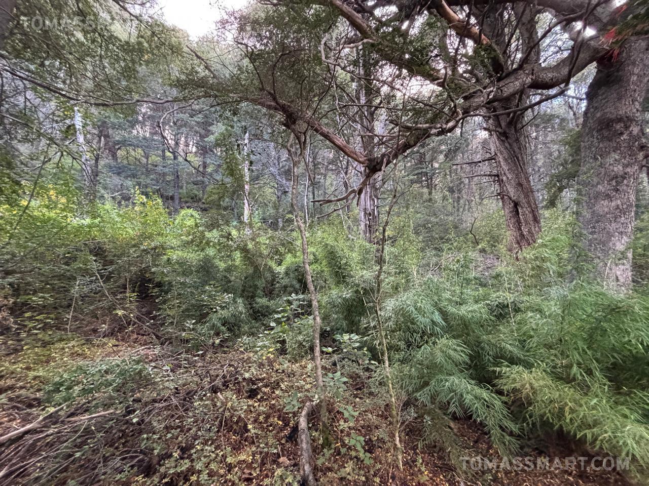 Foto de Terreno en Península San Pedro, imagen 5