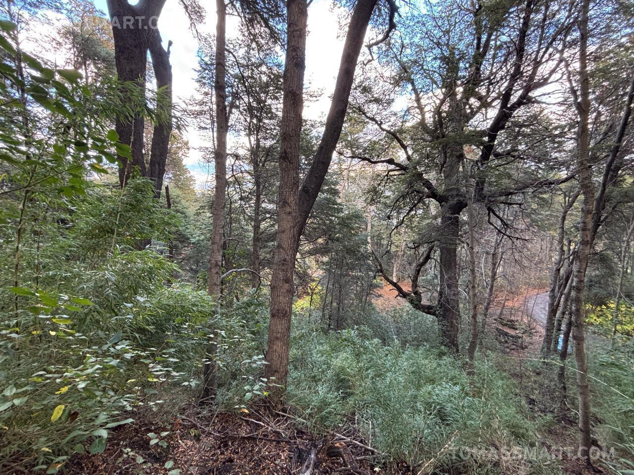 Foto de Terreno en Península San Pedro, imagen 4