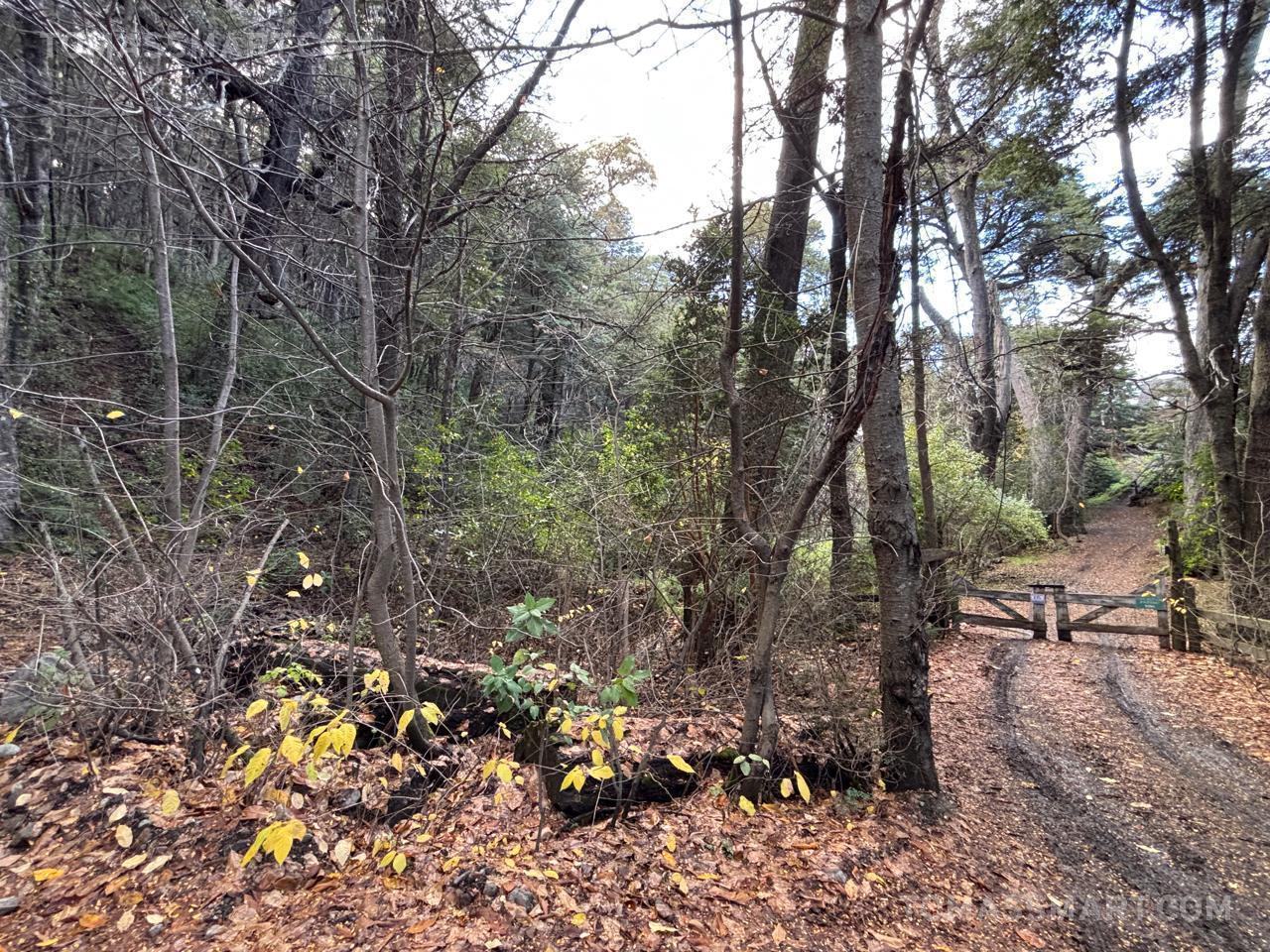 Terreno en Península San Pedro