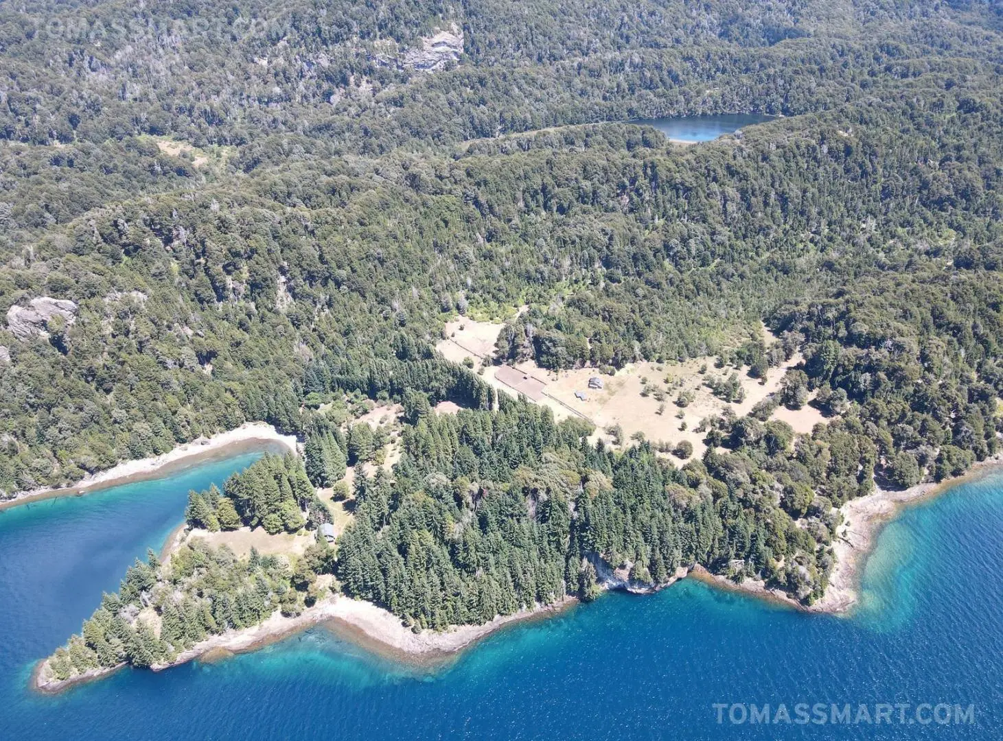 Campo con Costa de Lago- Millaqueo 3