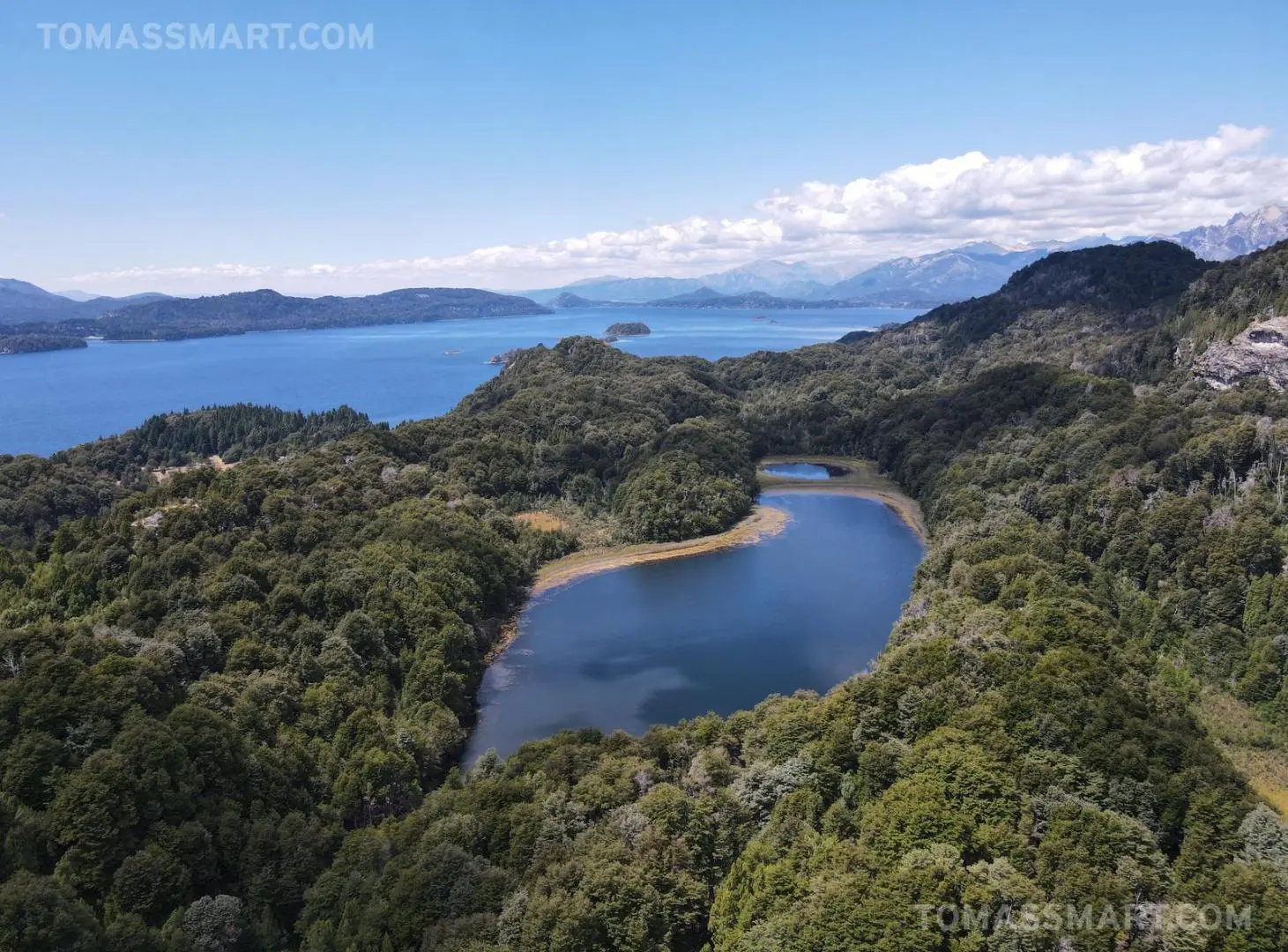 Campo con Costa de Lago- Millaqueo 4