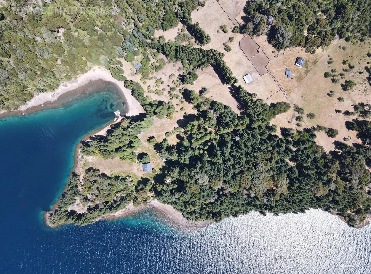 Campo con Costa de Lago- Millaqueo 2