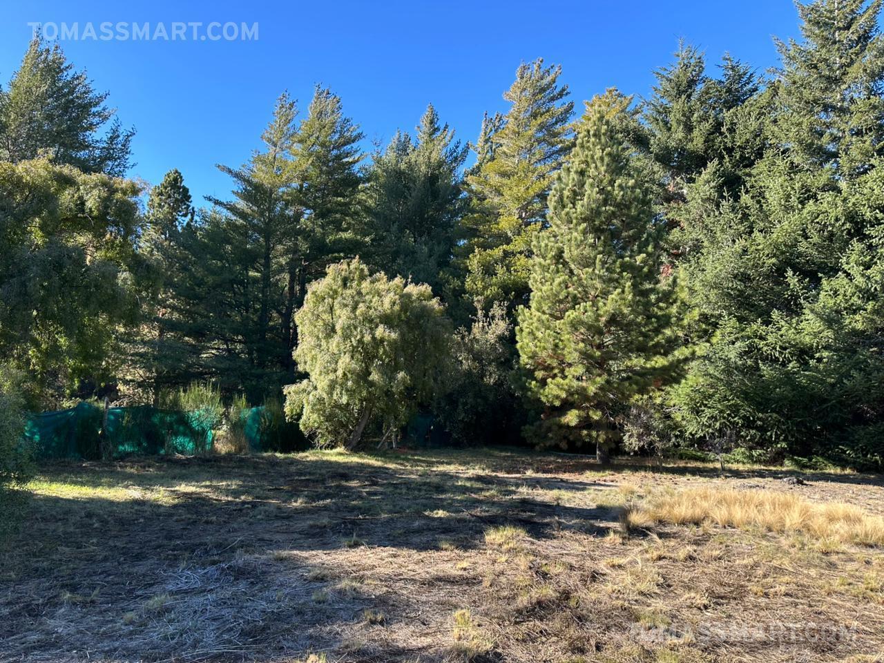 Foto de Terreno km 13 - Bariloche, imagen 4