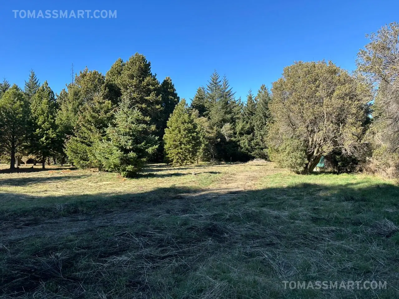 Terreno km 13 - Bariloche 3