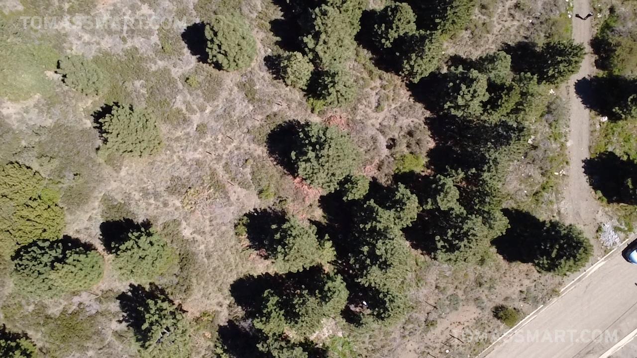 Foto de Terreno en San Carlos De Bariloche, imagen 1