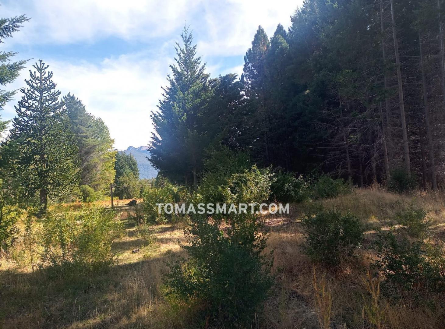 Foto de Chacra en Mallin Ahogado - El Bolsón, imagen 5