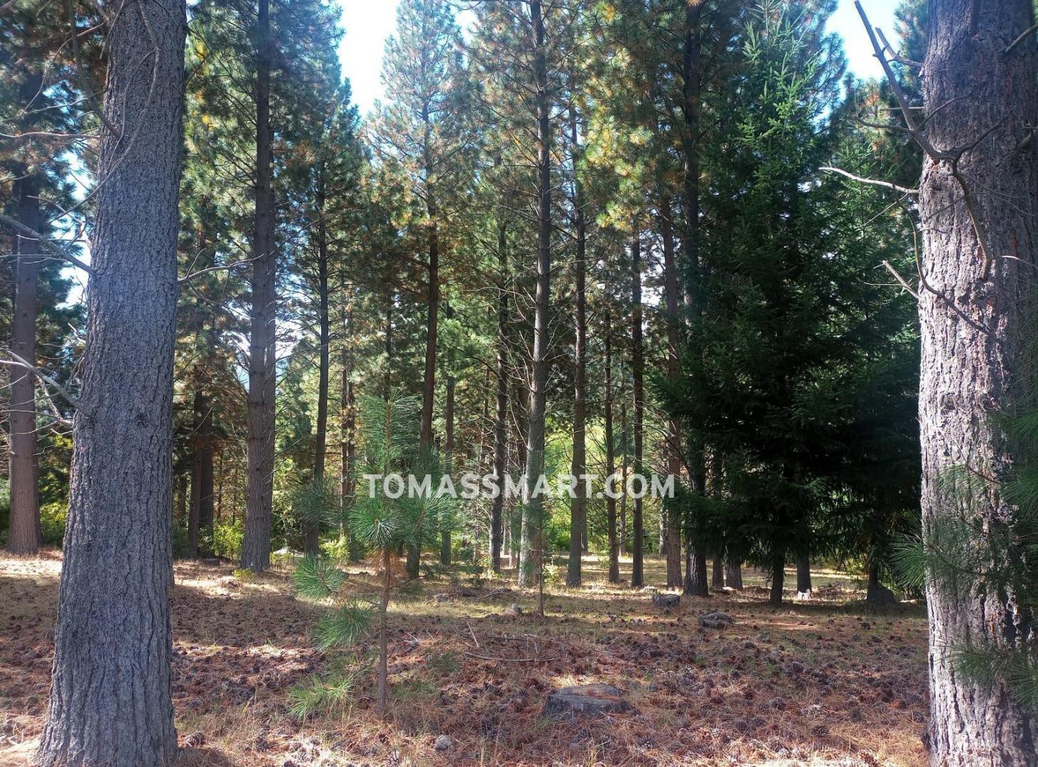 Foto de Chacra en Mallin Ahogado - El Bolsón, imagen 4