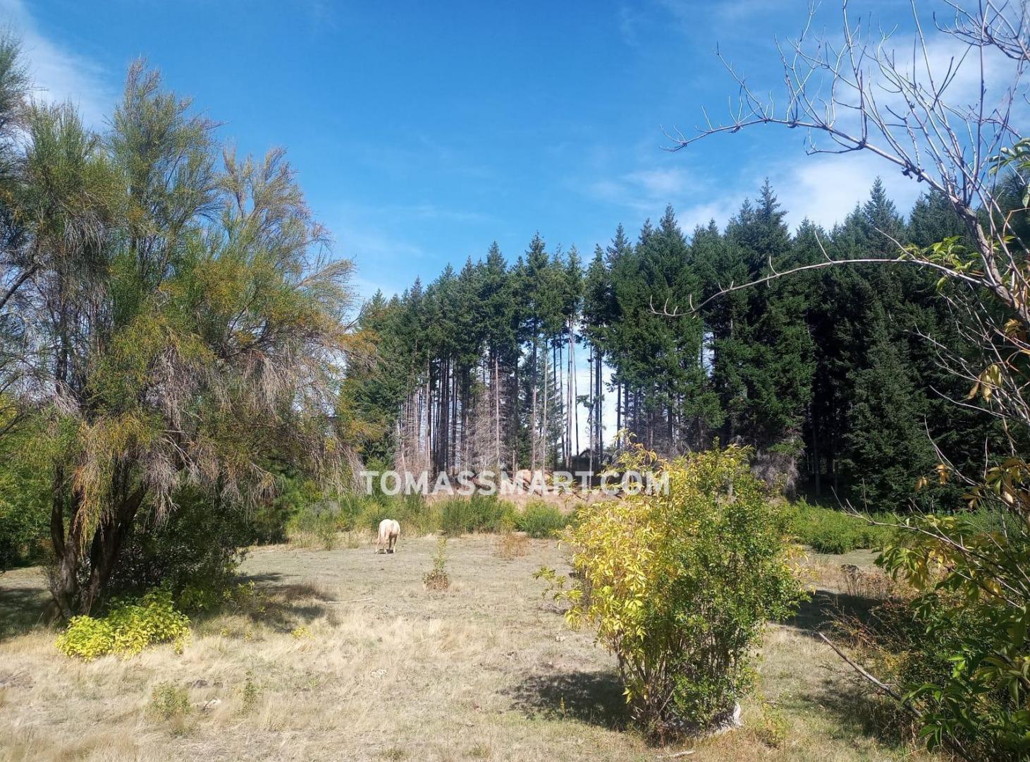 Foto de Chacra en Mallin Ahogado - El Bolsón, imagen 2