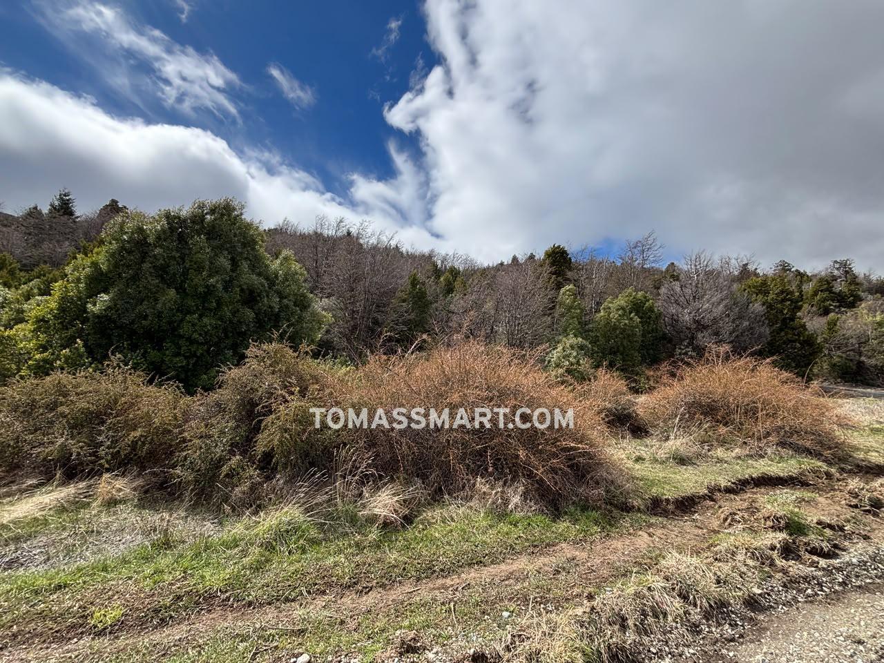 Foto de terreno en Arelauquen, imagen 3