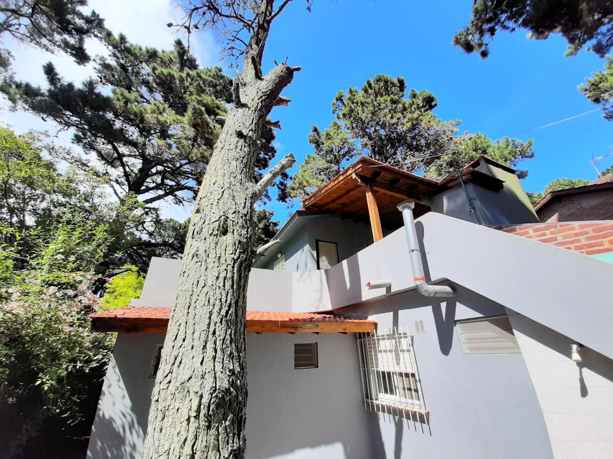 Hermoso Chalet en 2 Plantas con Cochera y Amplio Jardin en Pleno Centro 2