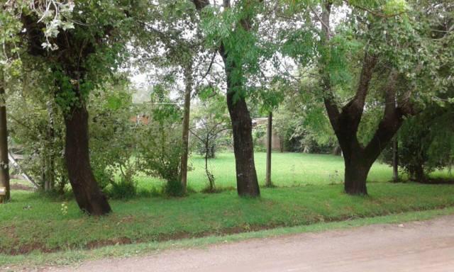Lote. | Rio Negro 3