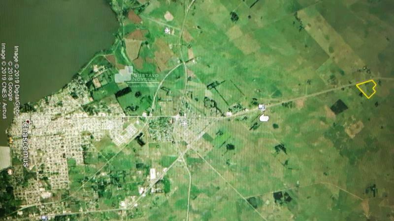 Venta de Fraccion de Campo Sobre Autovía 2 - 28ha 4