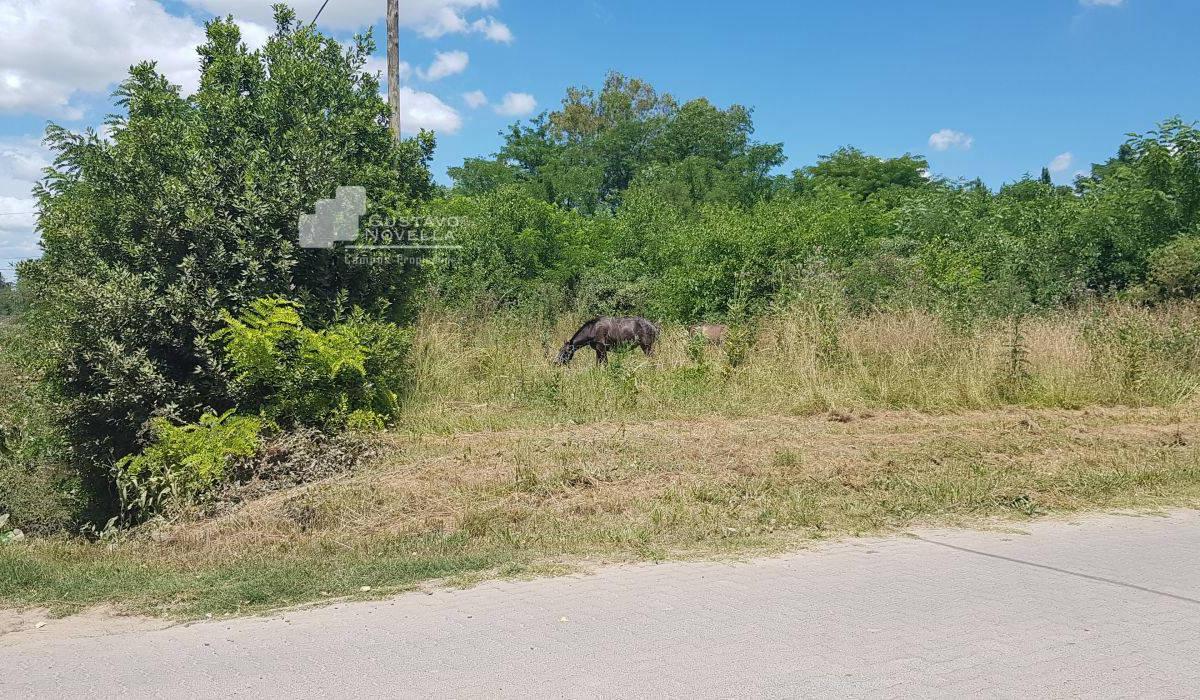 Lote en Esquina, Excelente Acceso y Ubicacion 3