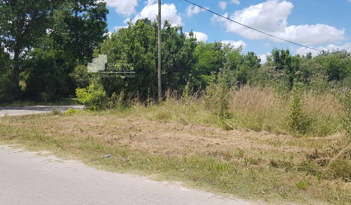 Lote en Esquina, Excelente Acceso y Ubicacion 5